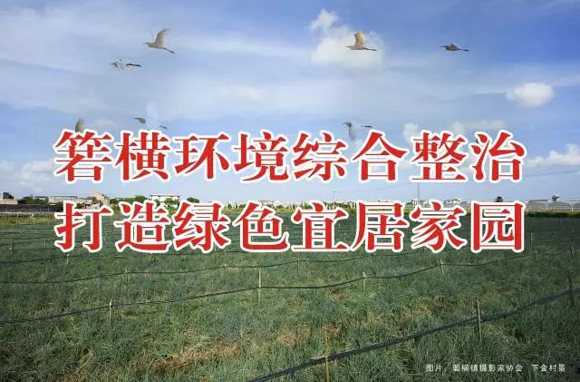 微信整顿最新动态，启程自然美景探索之旅