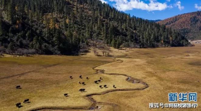 四环生物最新消息，自然美景的探索之旅启程