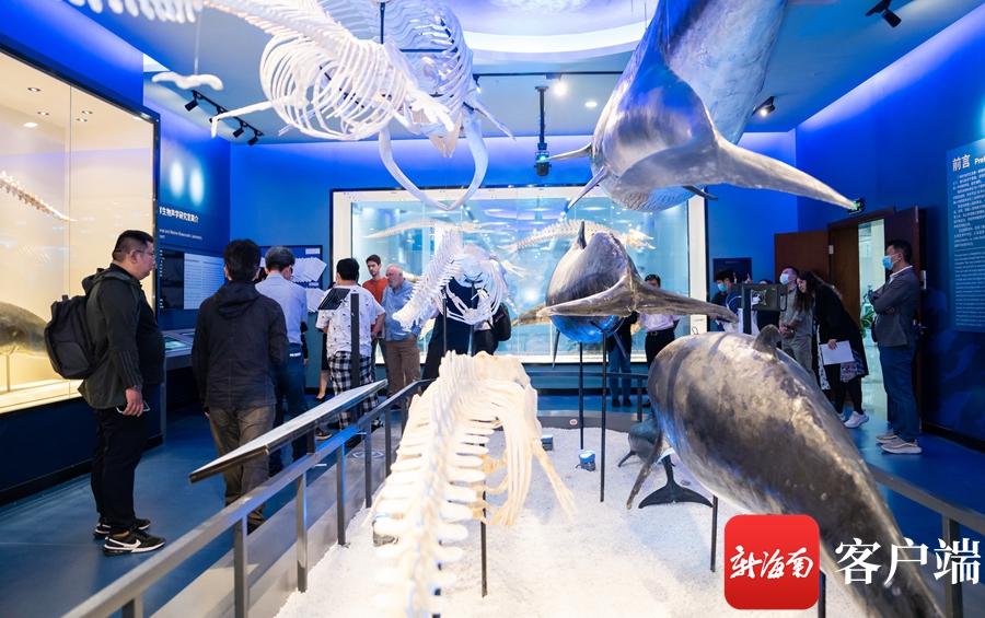 斯里兰卡加入金砖国家，小巷特色小店的独特故事之旅