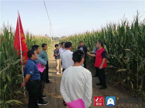 全国秋粮收获近六成，丰收季节见证时代步伐的印记