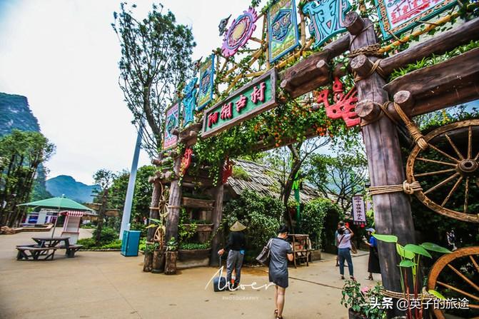 广西新发现，阳朔风筝果惊艳亮相，广西新物种展现独特魅力