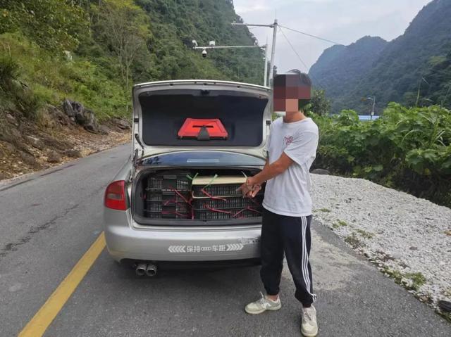 走私活体蛇事件曝光，刑拘背后的反思与警示