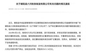 东北雨姐粉条厂家停产停业，深度解析与影响