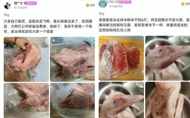 东北雨姐售卖的粉条厂家遭罚671.76万，事件回顾与影响分析揭秘