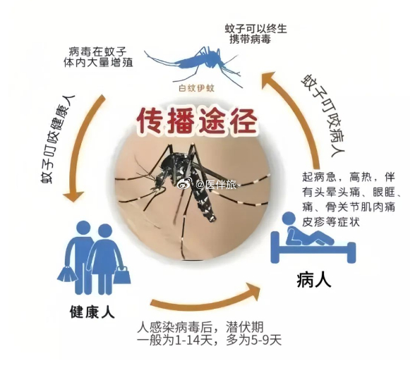 广东一周新增登革热病例达1770例，科技助力防控战，前沿科技产品体验介绍与应对之策