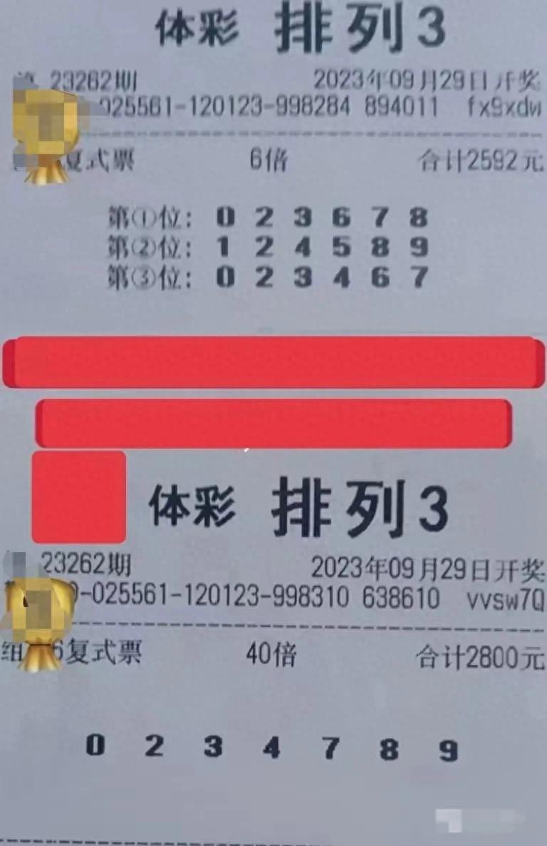 新澳天天开奖资料大全三中三，最新答案解释落实_V28.51.26