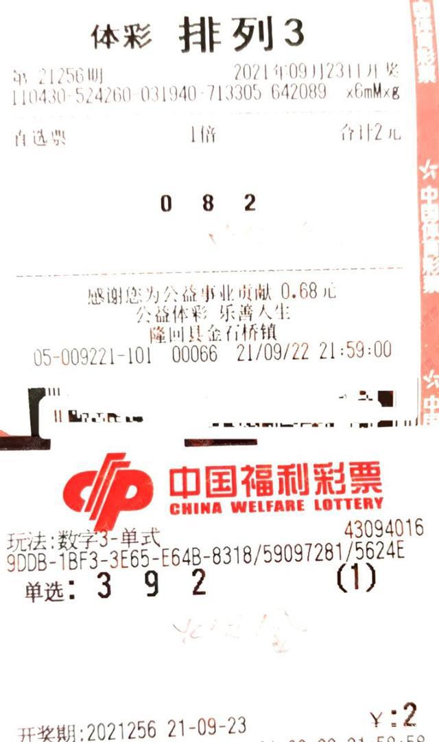 2024天天彩资料大全免费，动态词语解释落实_3D75.42.69