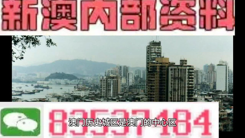 新澳门精准四肖期期中特公开，全面解答解释落实_The31.89.36