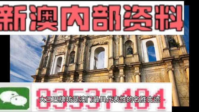 2024新澳精准资料免费，决策资料解释落实_iPhone28.69.54
