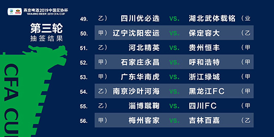2024新澳三期必出一肖,成本解答控制落实_解谜制87.409