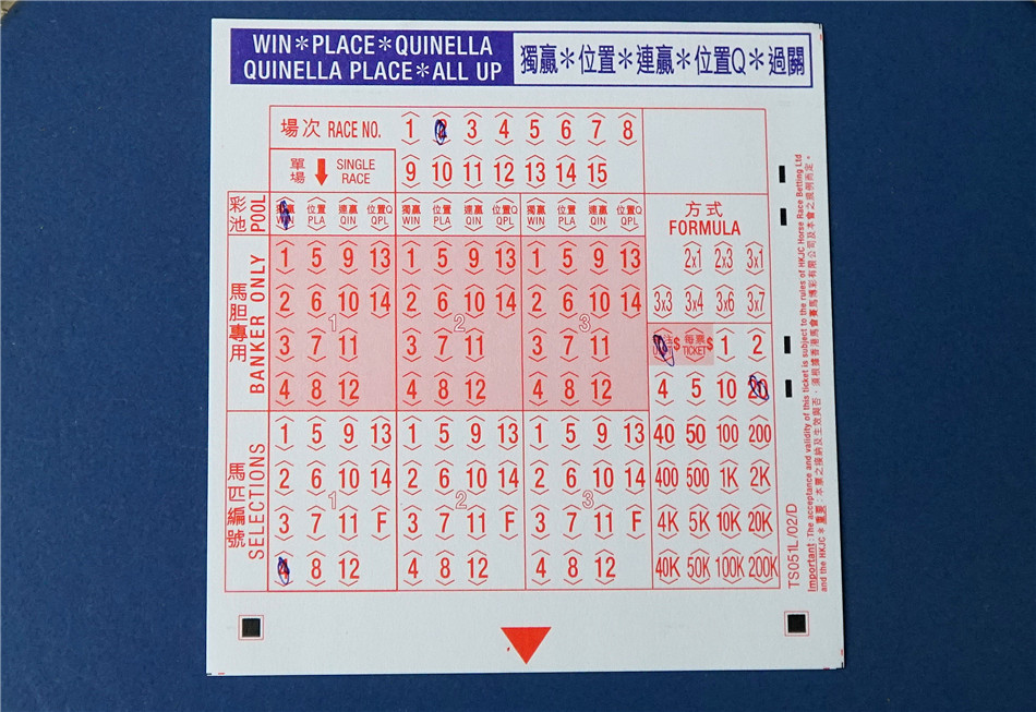 山东汇搜网络技 第1144页