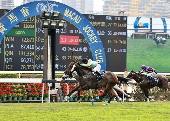 澳门马会7777788888,高效执行解答解释策略_内含款38.751