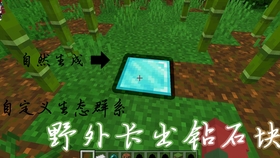 自然美景探险之旅 第4页