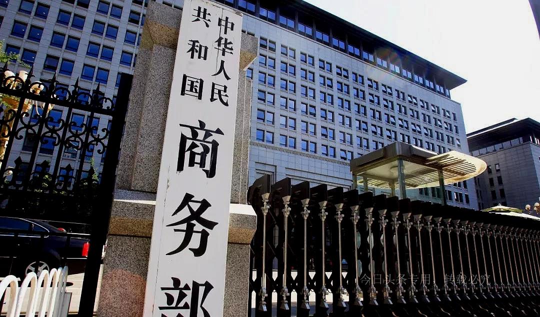 WTO最新动态，全球贸易博弈的影响与最新消息