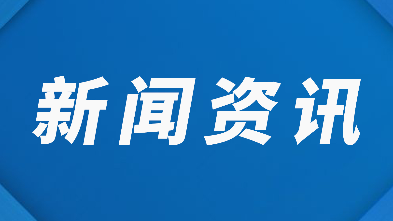 国内最新新闻概览