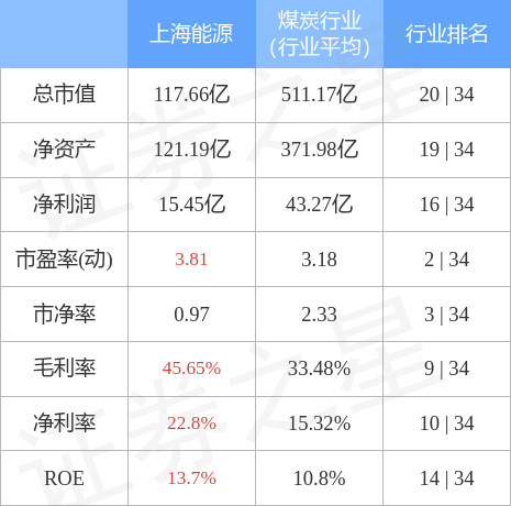 上海能源最新动态，温馨日常的细致呈现