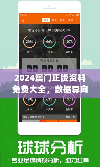 2024新澳门原料免费大全，迅速执行计划设计_RX版17.91.47