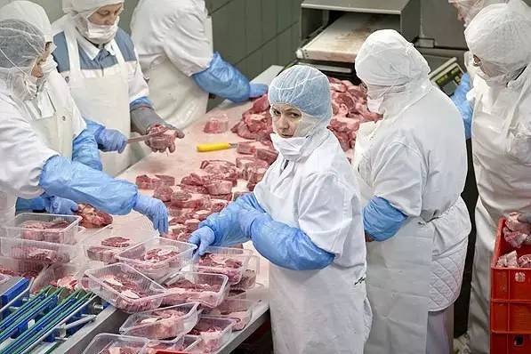 臭肉涉事食堂承包商背后的物业公司，深度分析与观点阐述