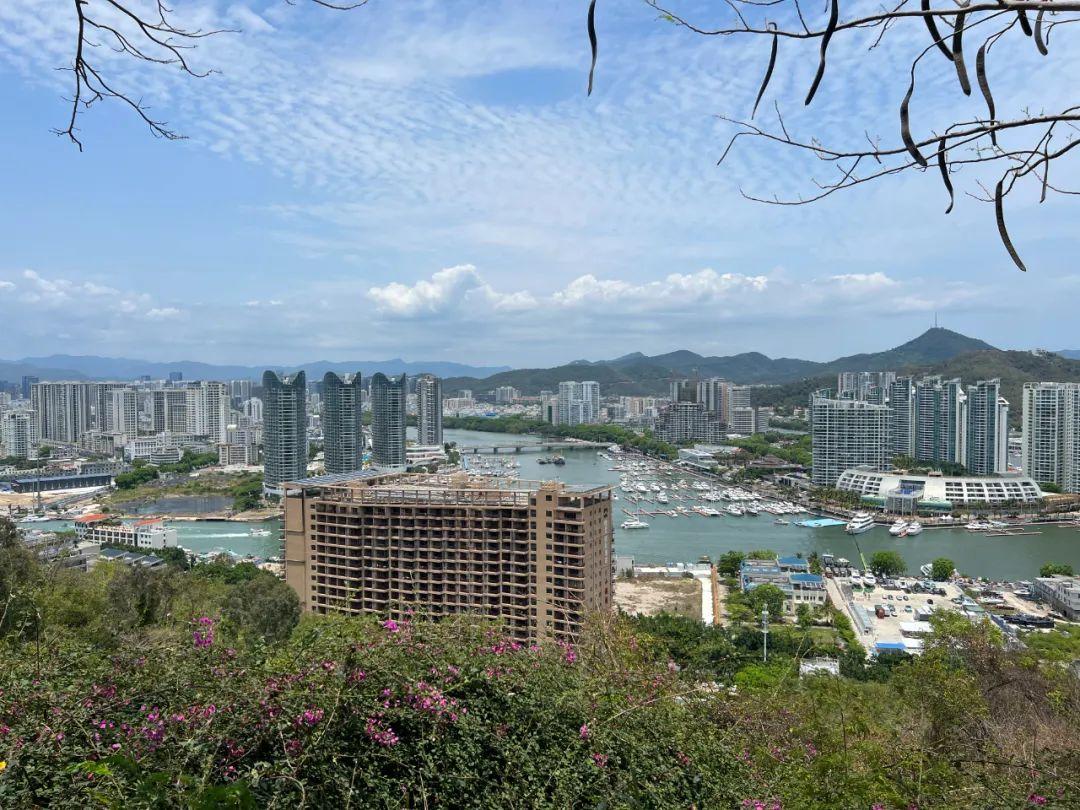 海口最新房价分析与观点阐述