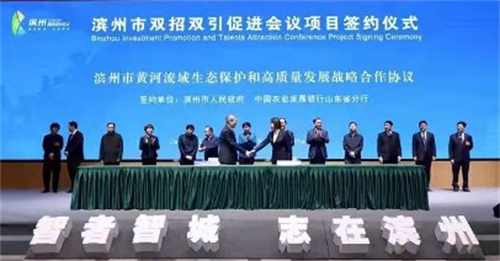 滨州最新招聘，小巷深处的独特工作机遇