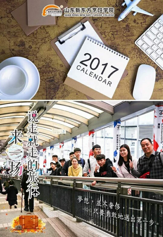 洋葱最新行情解析，小巷特色小店的探寻之旅