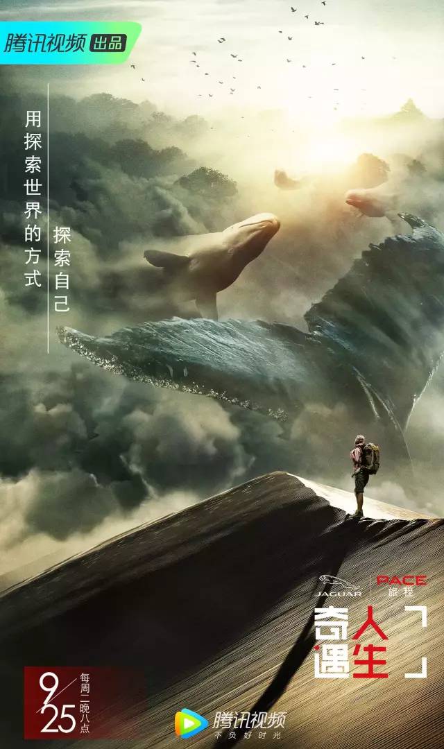 圣墟最新章节揭秘，小巷中的独特风味探索之旅