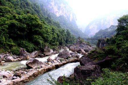 最新枪战游戏，自然美景中的探险之旅
