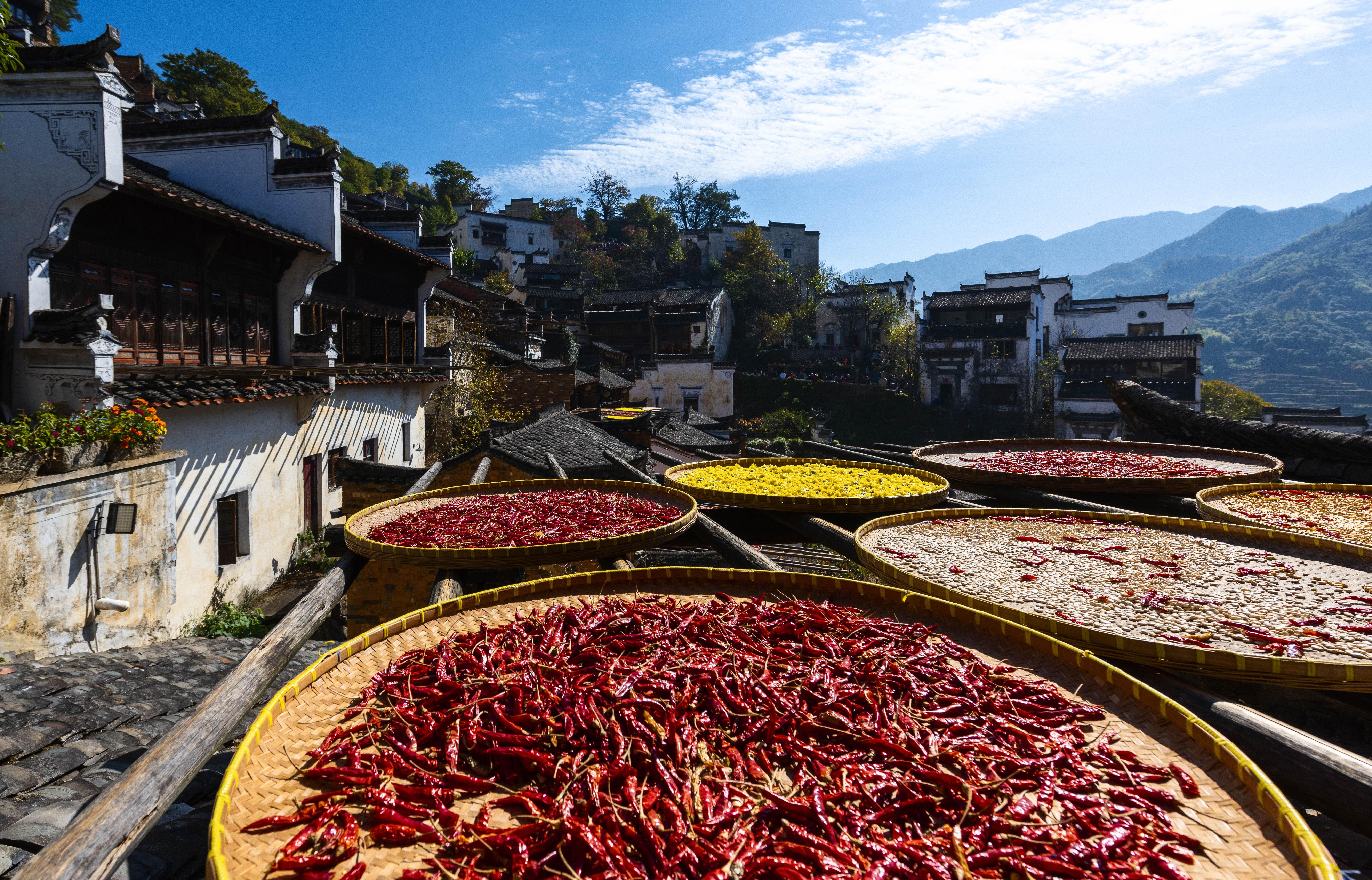 最新洗脑神曲，自然美景的心灵之旅之旅