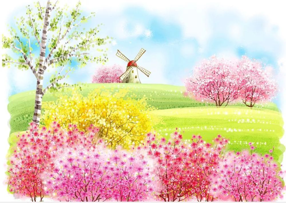 春暖花开最新篇章，与自然美景的浪漫遨游之旅