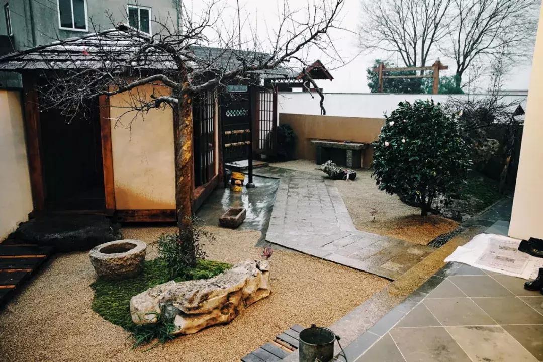 常州城市温情日常趣事与友情纽带最新报道