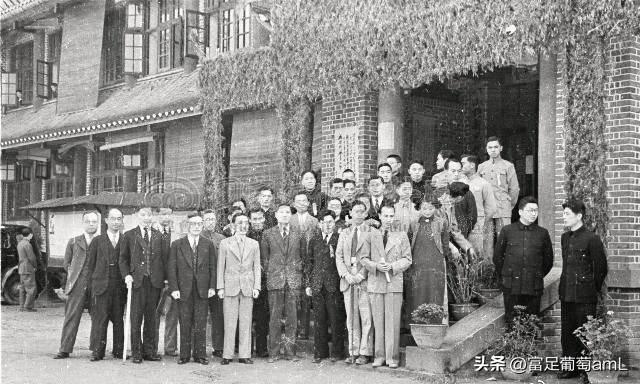 烽火温情，最新抗战电视连续剧热血上映