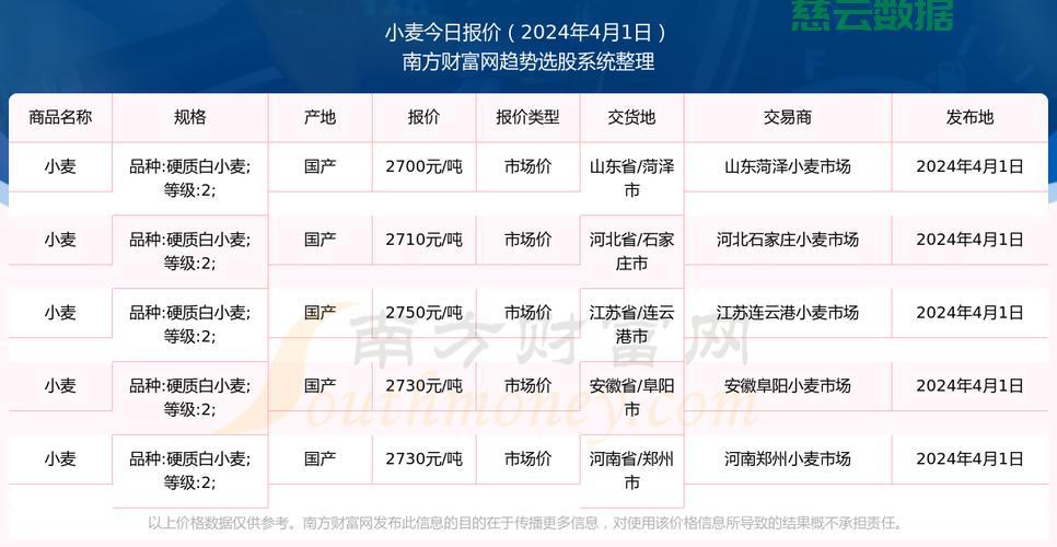 河南小麦今日最新价格，市场分析与影响综述