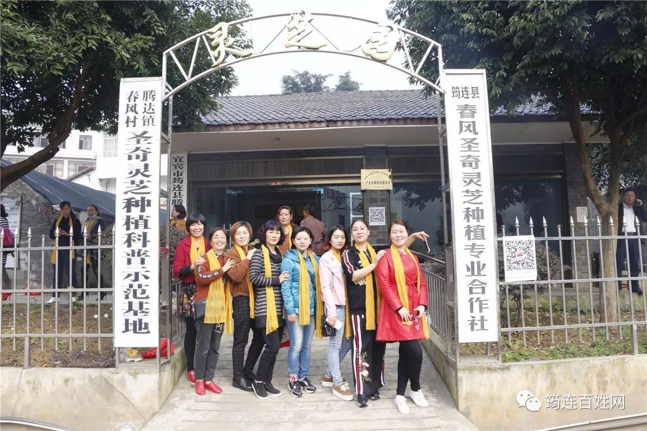 筠连百姓网，获取最新资讯，了解筠连从这里开始