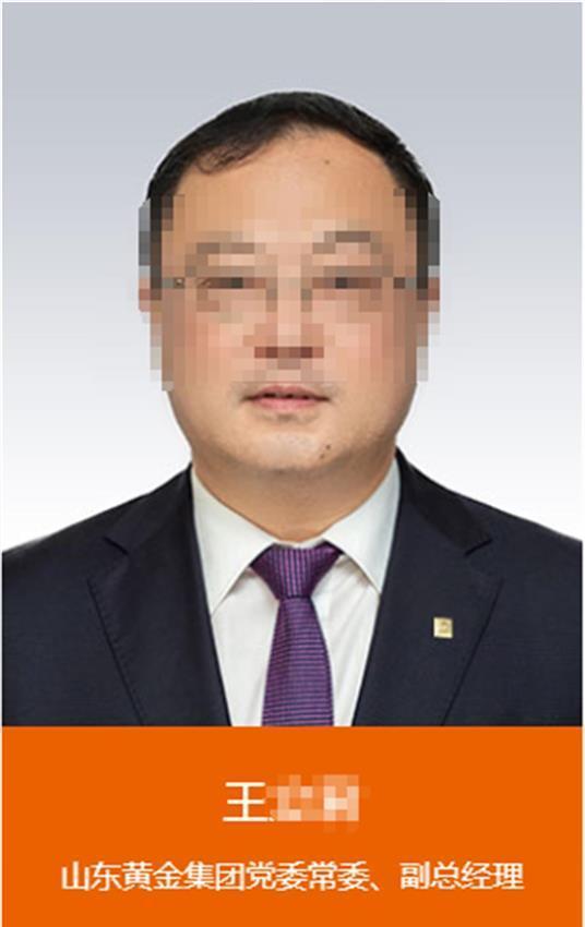 山东黄金集团最新消息概览，最新动态与行业指南