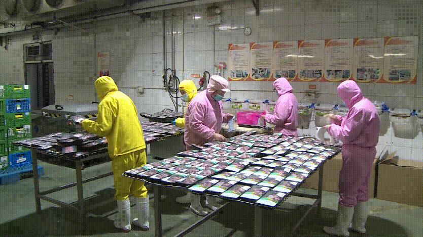 西安疫情最新动态及其观点论述