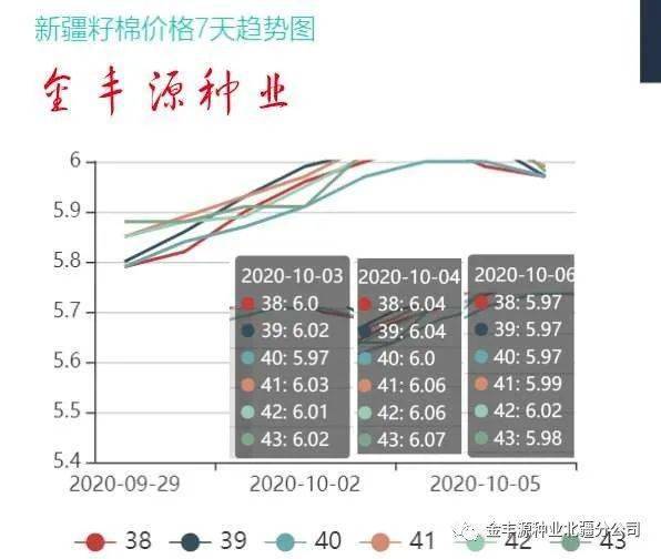 籽棉最新价格，时代见证与市场波动的交织