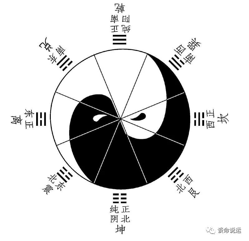 YY最新八卦深度解析与观点阐述