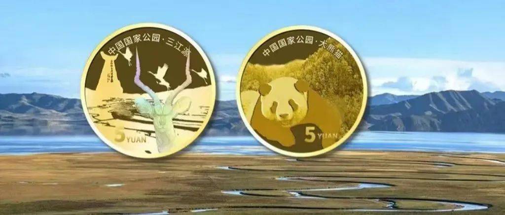 三鸟币最新价格解析，全面解读市场趋势