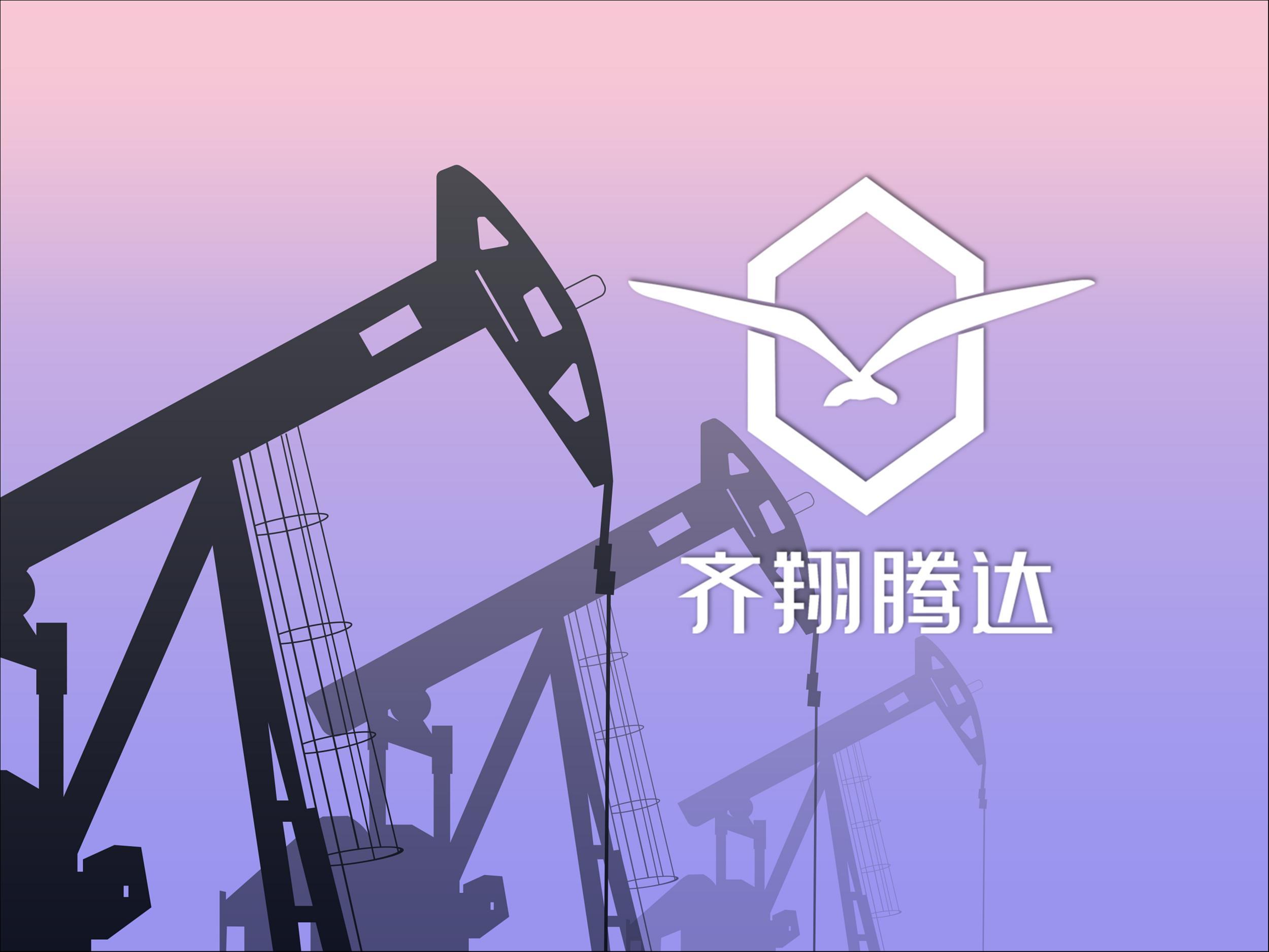 齐翔腾达未来战略方向与业务展望最新公告