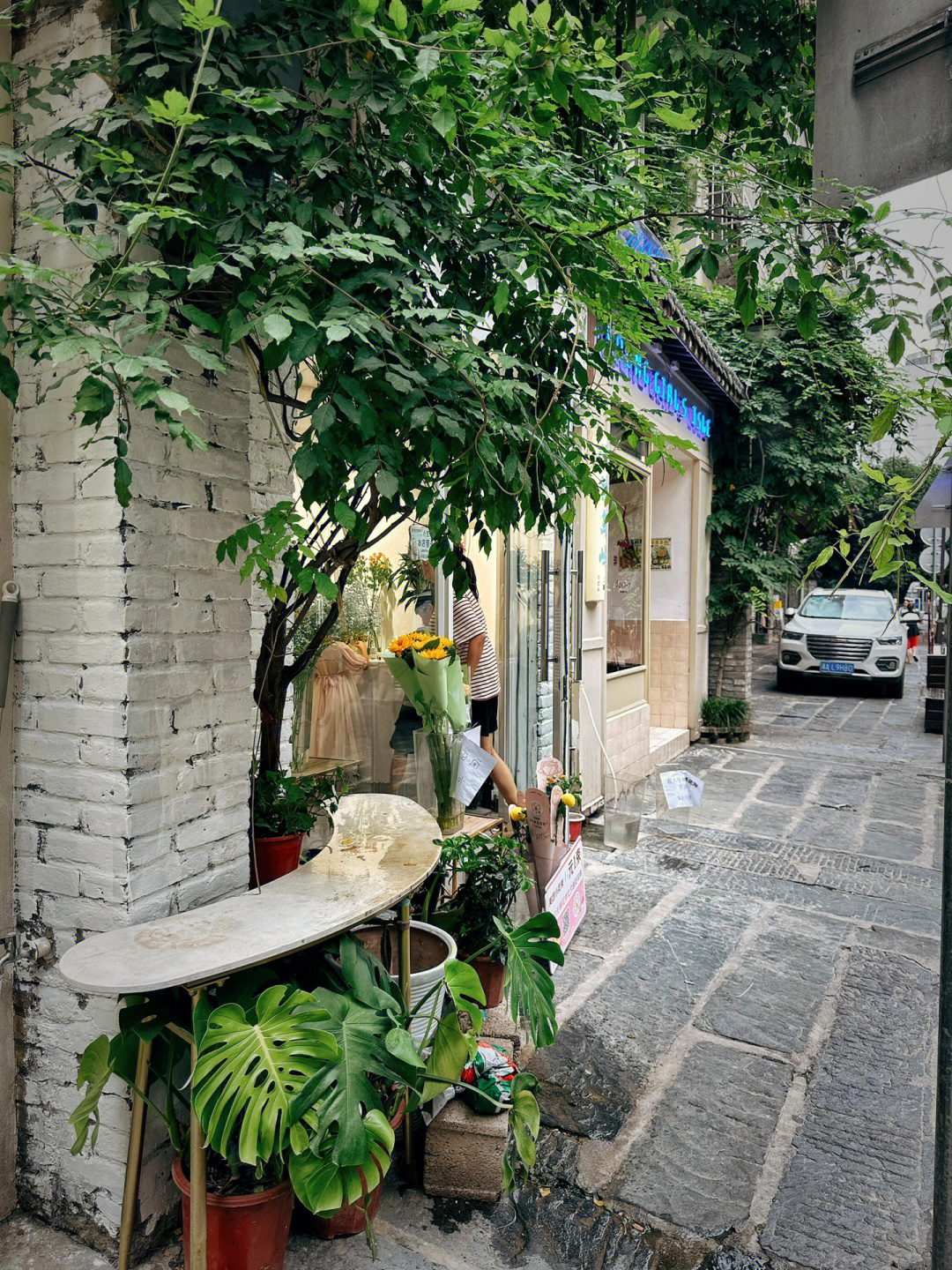 小巷中的隐藏宝藏，最新地址揭秘