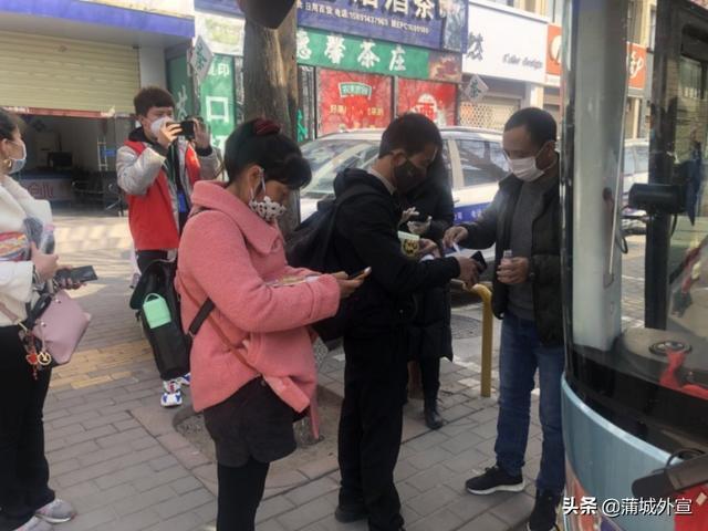 蒲城县最新招聘今日更新，观点论述详解