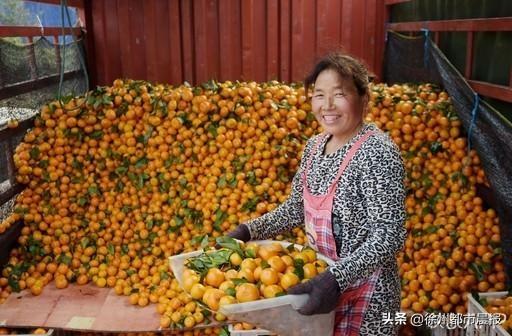 单身公社现象，文化崛起与影响探讨