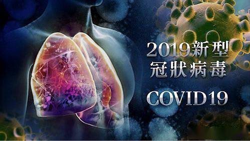 澳门最新肺炎日常趣事揭秘