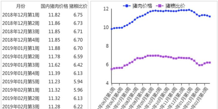 生猪最新动态，变化中的力量与信心的源泉