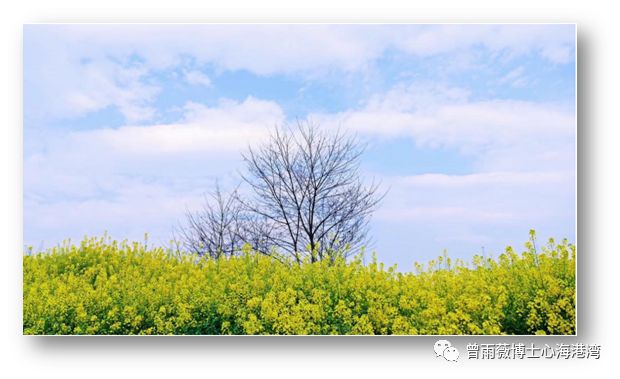 意大利新规定，拥抱自然美景，探寻内心宁静与平和