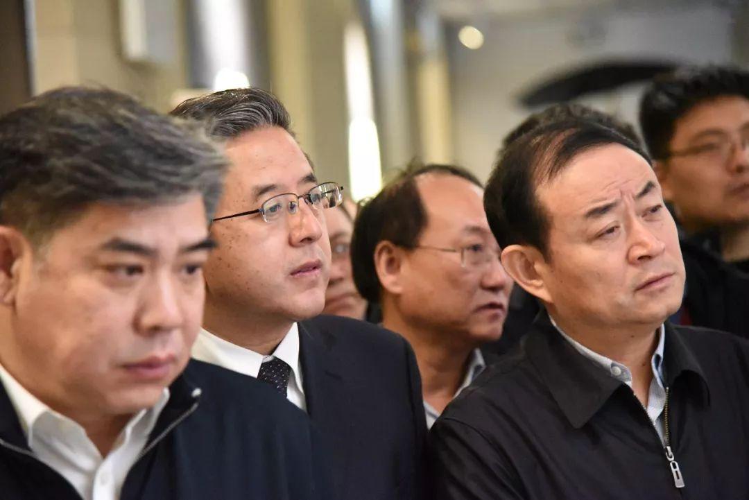 探寻战国最新片，历史与传奇的交融时刻