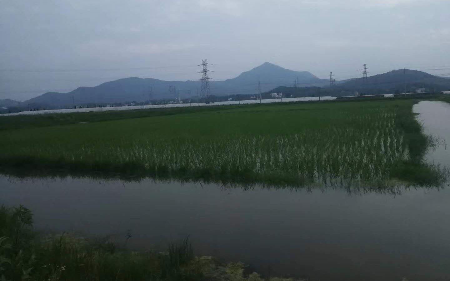 自然美景探索之旅 第11页