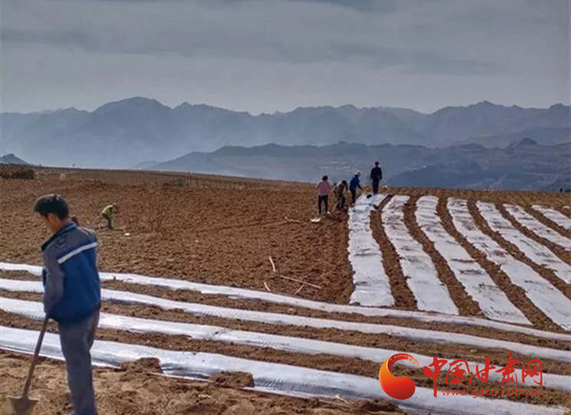 武都疫情下的自然之旅，探寻内心宁静与力量