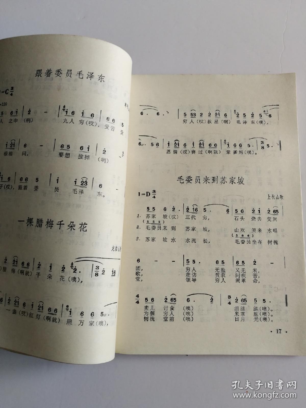 藏文歌曲最新，旋律中的友情与家的温馨之美