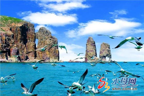 烟台最新报道揭秘仙境海岸的无限魅力！